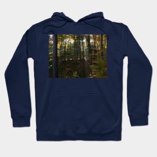 Dark forest Hoodie